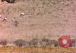 Image of gazelles Sub Saharan Africa, 1958, second 61 stock footage video 65675058736