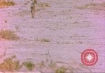 Image of spotted hyena Sub Saharan Africa, 1958, second 8 stock footage video 65675058740