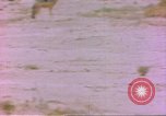 Image of spotted hyena Sub Saharan Africa, 1958, second 10 stock footage video 65675058740