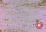 Image of spotted hyena Sub Saharan Africa, 1958, second 16 stock footage video 65675058740