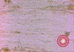 Image of spotted hyena Sub Saharan Africa, 1958, second 17 stock footage video 65675058740