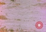Image of spotted hyena Sub Saharan Africa, 1958, second 18 stock footage video 65675058740