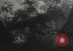 Image of Japanese troops Corregidor Island Philippines, 1942, second 5 stock footage video 65675058741