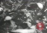 Image of Japanese troops Corregidor Island Philippines, 1942, second 14 stock footage video 65675058741