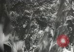 Image of Japanese troops Corregidor Island Philippines, 1942, second 17 stock footage video 65675058741