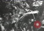 Image of Japanese troops Corregidor Island Philippines, 1942, second 24 stock footage video 65675058741