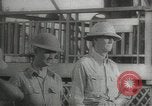Immagine di Le truppe giapponesi Corregidor Isola Filippine, 1942, secondo 5 filmato di repertorio 65675058743