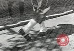 Image of United States 1st infantry Division Africa, 1943, second 39 stock footage video 65675058744