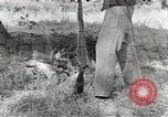Image of United States 1st infantry Division Africa, 1943, second 47 stock footage video 65675058744