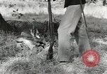Image of United States 1st infantry Division Africa, 1943, second 48 stock footage video 65675058744