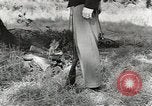 Image of United States 1st infantry Division Africa, 1943, second 49 stock footage video 65675058744