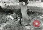 Image of United States 1st infantry Division Africa, 1943, second 50 stock footage video 65675058744