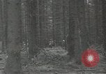 Image of United States 1st Infantry Division European Theater, 1946, second 7 stock footage video 65675058747