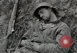 Image of United States 1st Infantry Division in World War 2 European Theater, 1944, second 40 stock footage video 65675058748