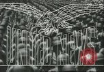 Image of United States Sherman tanks European Theater, 1945, second 14 stock footage video 65675058754