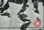 Image of war veterans United States USA, 1946, second 6 stock footage video 65675058768
