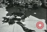 Image of war veterans United States USA, 1946, second 8 stock footage video 65675058768