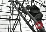Image of American pavilion Brussels Belgium, 1958, second 24 stock footage video 65675058772
