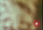 Image of National Day parade Vietnam, 1965, second 11 stock footage video 65675058776