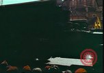 Image of National Day parade Vietnam, 1965, second 20 stock footage video 65675058778