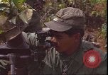 Image of United States 1st Cavalry Division Vietnam, 1966, second 45 stock footage video 65675058780