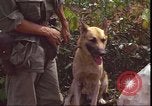 Image of United States 1st Cavalry Division Vietnam, 1966, second 52 stock footage video 65675058780