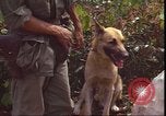 Image of United States 1st Cavalry Division Vietnam, 1966, second 53 stock footage video 65675058780