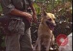 Image of United States 1st Cavalry Division Vietnam, 1966, second 54 stock footage video 65675058780