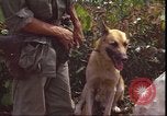 Image of United States 1st Cavalry Division Vietnam, 1966, second 55 stock footage video 65675058780