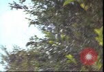 Image of United States 1st Cavalry Division Vietnam, 1966, second 56 stock footage video 65675058780