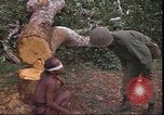 Image le Viet Cong suspects Pleiku Sud Vietnam, 1966, de la seconde 11 séquences d'archives historiques vidéo 65675058782