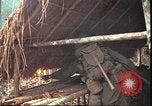 Image of thatched roof hut Pleiku South Vietnam, 1966, second 20 stock footage video 65675058783