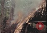 Image of thatched roof hut Pleiku South Vietnam, 1966, second 26 stock footage video 65675058783