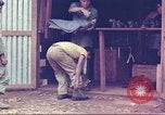 Image of Sargent Arthur C Juniewicz South Vietnam, 1963, second 40 stock footage video 65675058787