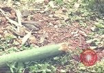 Standbild Special Forces South Vietnam, 1963, aus Sekunde 26 historischem Filmmaterial Videoclip 65675058790
