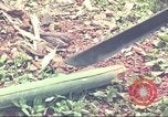 Standbild Special Forces South Vietnam, 1963, aus Sekunde 29 historischem Filmmaterial Videoclip 65675058790