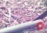 Standbild Special Forces South Vietnam, 1963, aus Sekunde 30 historischem Filmmaterial Videoclip 65675058790