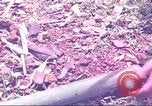 Standbild Special Forces South Vietnam, 1963, aus Sekunde 32 historischem Filmmaterial Videoclip 65675058790