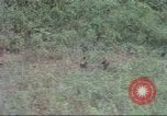Standbild USA UH-1B Hubschrauber Vietnam, 1965, aus Sekunde 33 historischem Filmmaterial Videoclip 65675058793