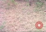 Standbild USA UH-1B Hubschrauber Vietnam, 1965, aus Sekunde 45 historischem Filmmaterial Videoclip 65675058793
