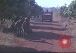 Image of United States Army 5th Special Forces Vietnam, 1966, second 20 stock footage video 65675058796