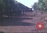 Image of United States Army 5th Special Forces Vietnam, 1966, second 23 stock footage video 65675058796