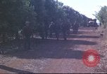 Image of United States Army 5th Special Forces Vietnam, 1966, second 26 stock footage video 65675058796