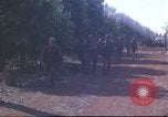 Image of United States Army 5th Special Forces Vietnam, 1966, second 29 stock footage video 65675058796
