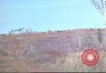 Image of Vietnamese huts Vietnam, 1966, second 12 stock footage video 65675058797