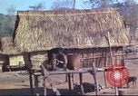 Image of Vietnamese huts Vietnam, 1966, second 22 stock footage video 65675058797