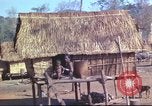 Image of Vietnamese huts Vietnam, 1966, second 23 stock footage video 65675058797