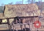 Image of Vietnamese huts Vietnam, 1966, second 25 stock footage video 65675058797
