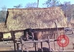 Image of Vietnamese huts Vietnam, 1966, second 26 stock footage video 65675058797