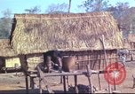 Image of Vietnamese huts Vietnam, 1966, second 27 stock footage video 65675058797
